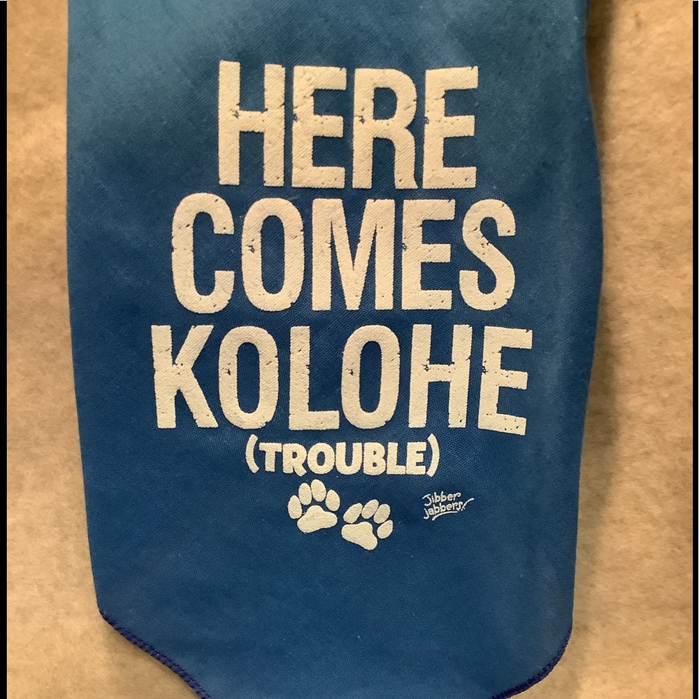 🐶 Blue Here Comes Kolohe! (Trouble) 🐾 w/paw prints , NWT